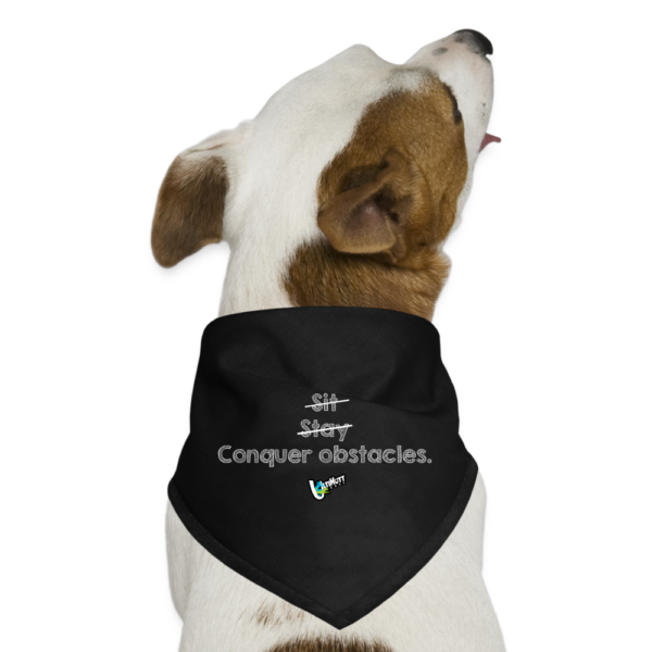 Conquer - Dog Bandana